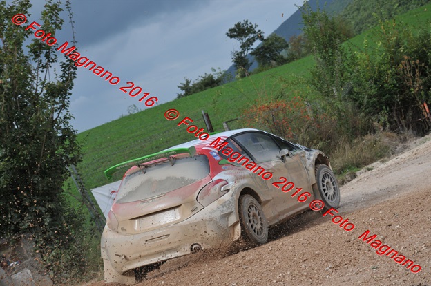 DSC_6426.JPG
